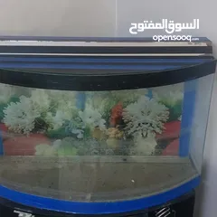  2 حوض سمك كبير