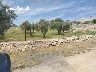  9 دنم مميز بطنا ع شارعين قرب شارع الستين الجديد