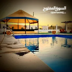  7 مزرعة و شاليه الياسر ALYASSIR CHALET