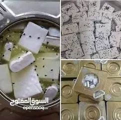  1 نصيات جبنه