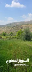 1 أرض للبيع من المالك مباشرة