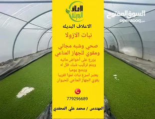  4 علف الازولا يزرع مره وينتج يوميا مدى الحياه للدجاج والمواشي وجميع الحويانات