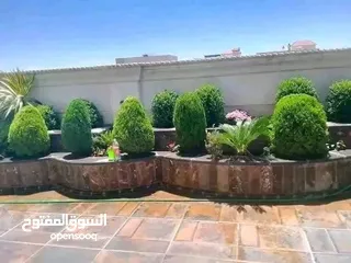  10 يتوفر جميع أنواع الاشجار  حمضيات لوزيات شجر زينه نسعد بخدمتكم