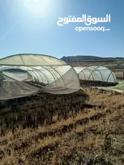  5 بيت بلاستيك