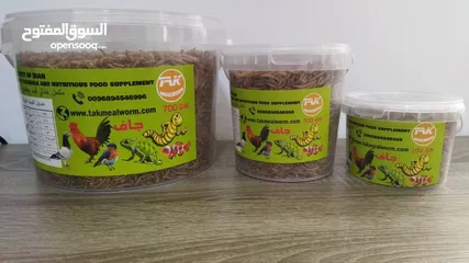  2 Dry & Alive mealworm