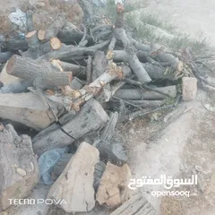  1 خشب وحطب زيتون  للبيع تقريبا 3طن للبيع