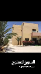  1 شليه للبيع طريق الجسر بسعر مميز لفتره محدوده