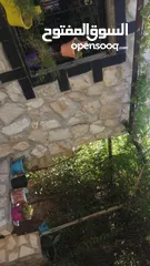  6 بيت للبيع  بسعر مغري