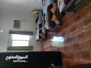  4 شقة مفروشة في صحار