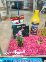  7 حوض سمك مجهز بالكامل ، احجار انارة لد + شبكة صيد + انتي كلور + اكل+ فلتر+ عشب المقاسات بالوصف
