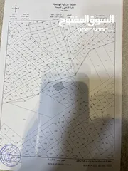  2 قطعة ارض سكنية باطلالة مميزة بجانب قصر الاميرة بسمة الجبيهة