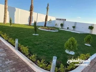  6 نجيل طبيعي ونجيل ديكوندرا