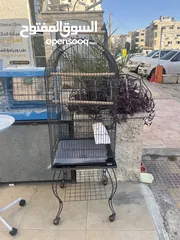  1 عرض على أقفاص العجال ستاند متحرك العرض لمدة أسبوع