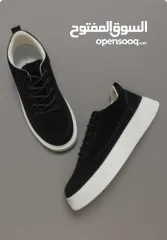  6 البيع بالجملة فقط