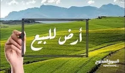  1 ارض للبيع 600 متر