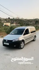  1 كادي 2013  شصي طويل