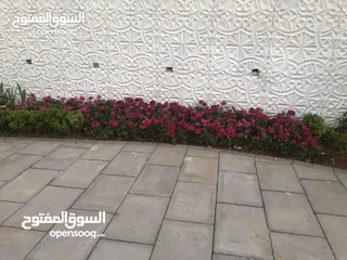  3 بسعررررر مغررري بليط بخدمتكم