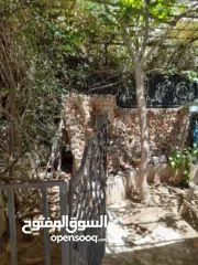  5 شقة ارضيه للبيع .. الاردن الزرقاء حبل طارق