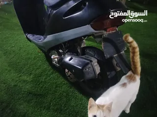  4 هوندا 60cc للبيع او البدل بما يناسب شوف الوصف