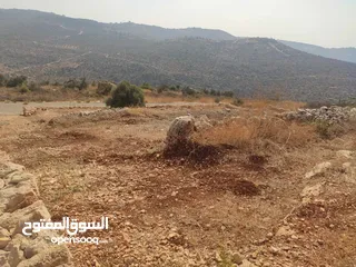  4 قطعة أرض مميزة في مزارع النوباني