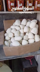  10 جميد بلدي جميد كركي سمنه بلدي جبنة غنم