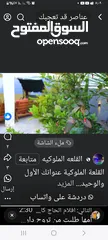  10 فيلا في اريحا للبدل ع ارض اوللبيع