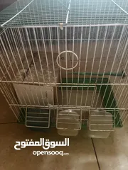  8 قفصين طيور مع مستلزماتها  ( كوخ ،مرجيحه ، مشارب وعلب اكل ،،،،،،،)
