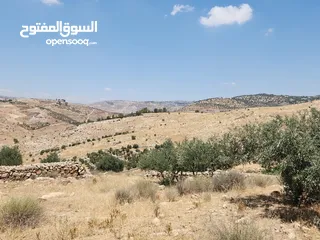  5 ارض للبيع مميزه في بدر الجديده 4700م ذات اطلاله عاليه في حي الاميرات على شارعين