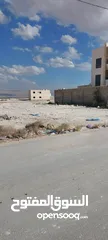  3 أرض اريحا للبيع
