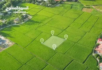 2 فرصة ذهبية لامتلاك قطعة أرض مميزة في نابلس الموقع: تل – عين المزراب – منطقة فلل راقية