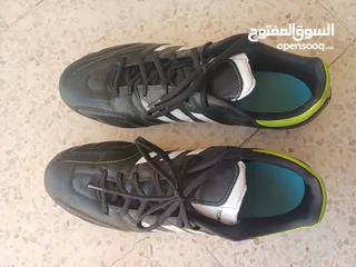  2 حذاء تونى كروس11 برو اديداس