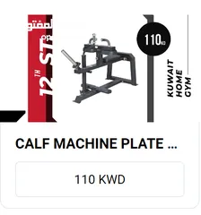  1 Calf Raise Machine