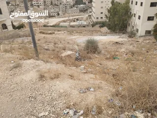  3 قطعة أرض مميزة في منطقة جريبا للبيع