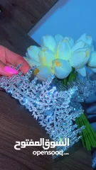  1 تاج ملوكي راقي