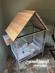  9 عصافير حب هوجو رومو
