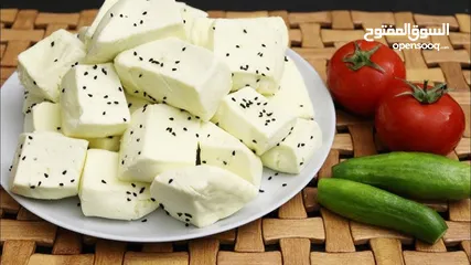  1 جبنة غنم مغلية