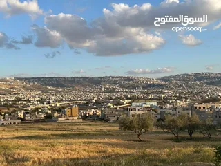  2 ام الدنانير حوض ابو زعروره 472م سكن ج شارع 12م مربعه واجهه 21م واجهه جنوبيه حي فلل هادئ مرتغعه