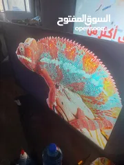  5 شاشة LG  50 بوصة سمارت  ريموت ماوس وأوامر صوتية
