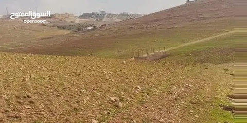  1 جريبا قرب شفابدران تقسيط نصف الثمن