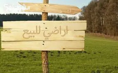  6 فرصة استثمارية ذهبية – أرض للبيع في روجيب نابلس تصلح لسكن او لمشروع تجاري تصنيف B متوفر كافة الخدمات