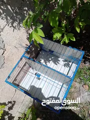  4 مطبعات سود وهنديات