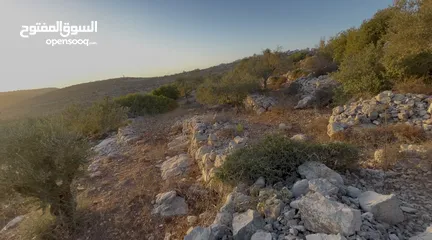  2 ارض للبيع في رام الله