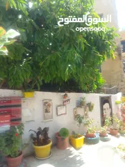  1 دار للايجار