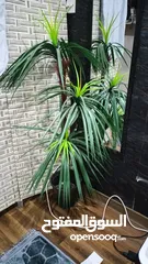  2 artificial plant