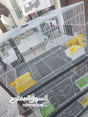  1 مطير طيور حجم كبير يتسع الى جوز وافراخ ، او عدد كبير من الطيور