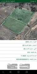  1 أرض ممتازة في جرش للسكن و للزراعة بقرب أحراش الدولة و سعر مغري  للمزيد من المعلومات اقرأ الوصف
