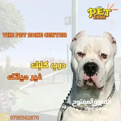  5 درب كلبك الآن