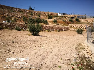  6 ارض باطلالة مميزة في صوريف أول أبوشوك زفتة وكهربا لباب الأرض