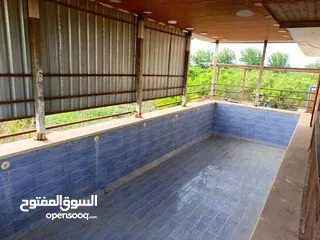  6 مزرعه مثمره للبيع