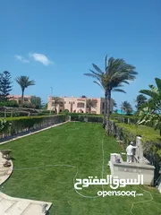  2 نجيل طبيعي بسبيلم بيور